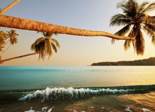 Beach Tour