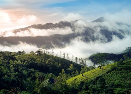 Classic Kerala Tour – 10 Days