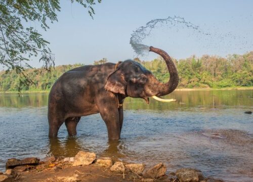 India’s Premier Kerala Tour