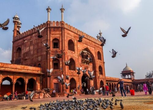 Golden Triangle Discovery: Delhi, Agra & Jaipur