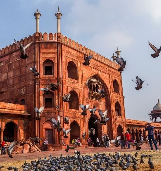 Golden Triangle Discovery: Delhi, Agra & Jaipur